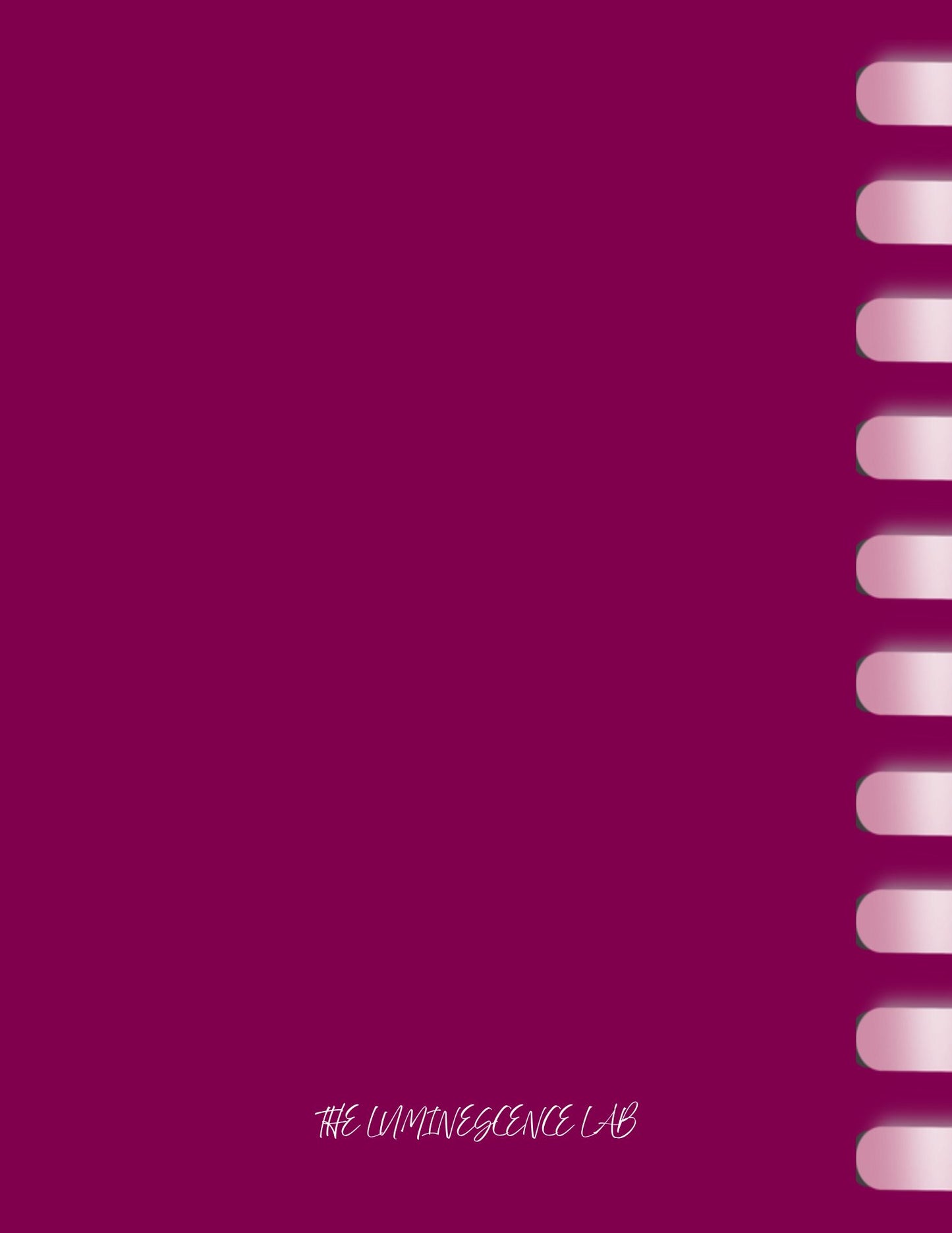 MY BIBLE STUDY JOURNAL TLL